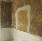 20140924_125454